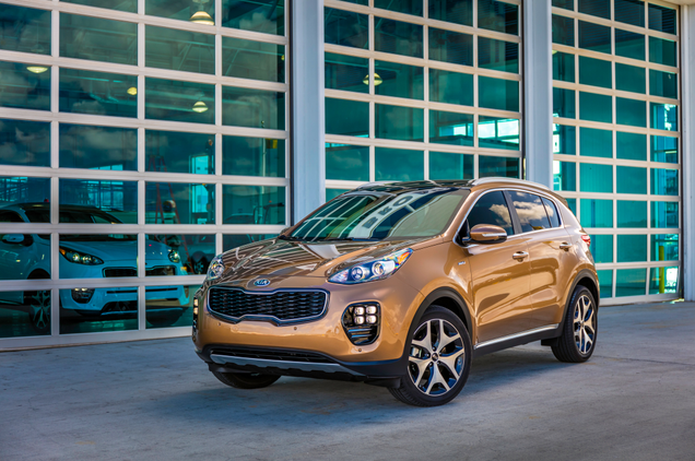 Here we see the natural habitat of the cuv. A shopping mall.
